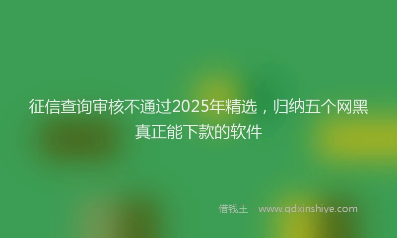 征信查询审核不通过2025年精选，归纳五个网黑真正能下款的软件