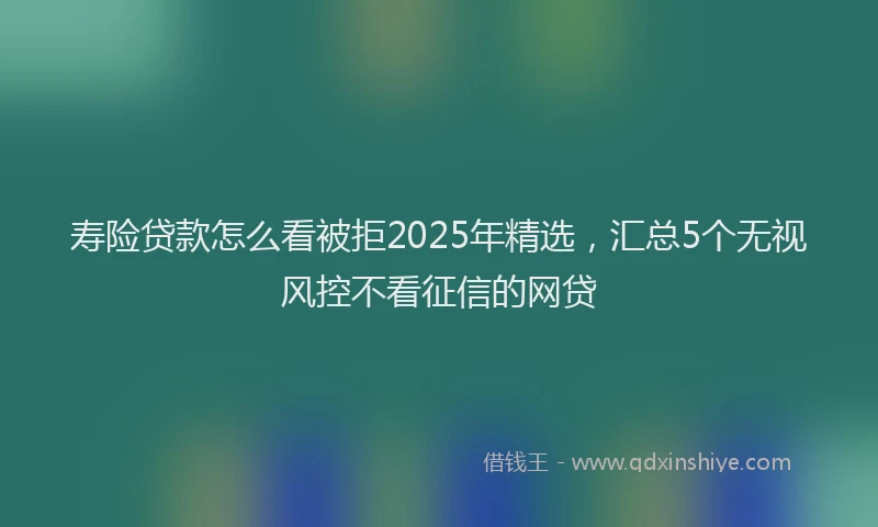 寿险贷款怎么看被拒2025年精选，汇总5个无视风控不看征信的网贷