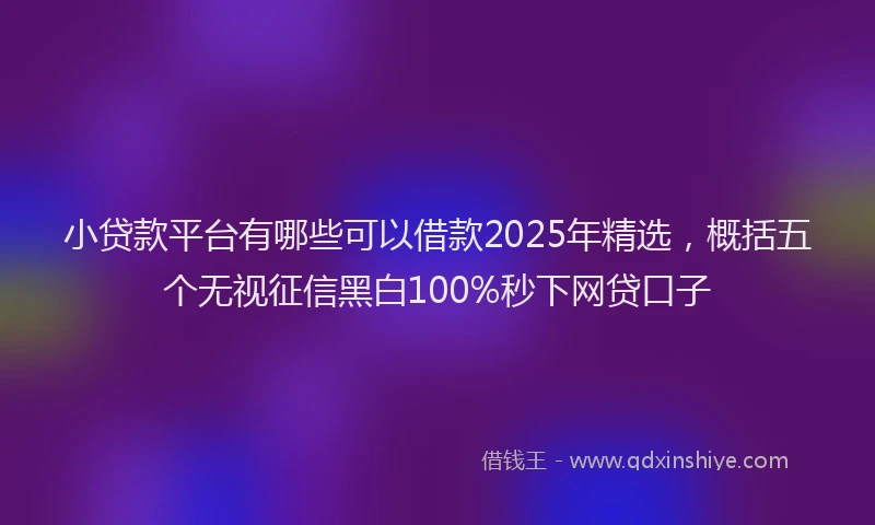 小贷款平台有哪些可以借款2025年精选，概括五个无视征信黑白100%秒下网贷口子