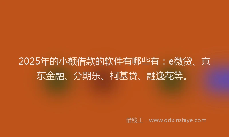 2025年的小额借款的软件有哪些有：e微贷、京东金融、分期乐、柯基贷、融逸花等。