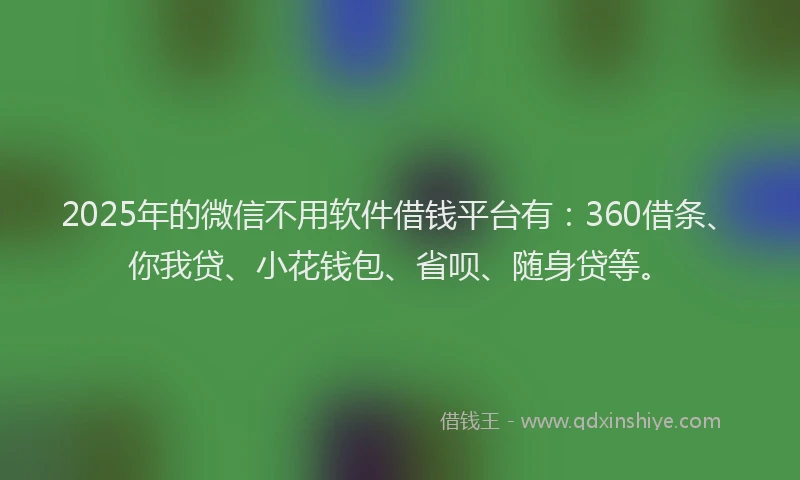 2025年的微信不用软件借钱平台有：360借条、你我贷、小花钱包、省呗、随身贷等。