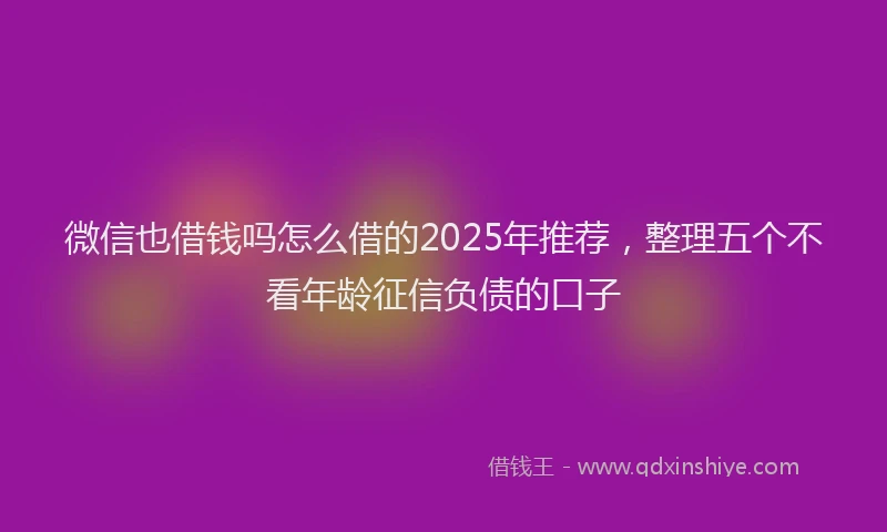 微信也借钱吗怎么借的2025年推荐，整理五个不看年龄征信负债的口子