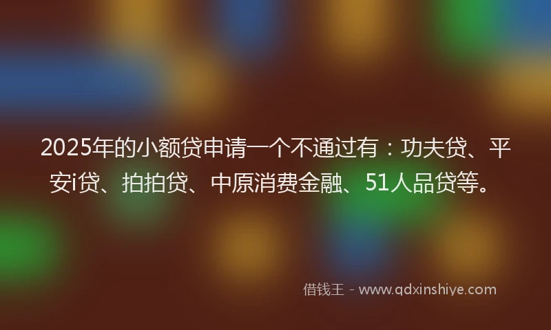 2025年的小额贷申请一个不通过有：功夫贷、平安i贷、拍拍贷、中原消费金融、51人品贷等。