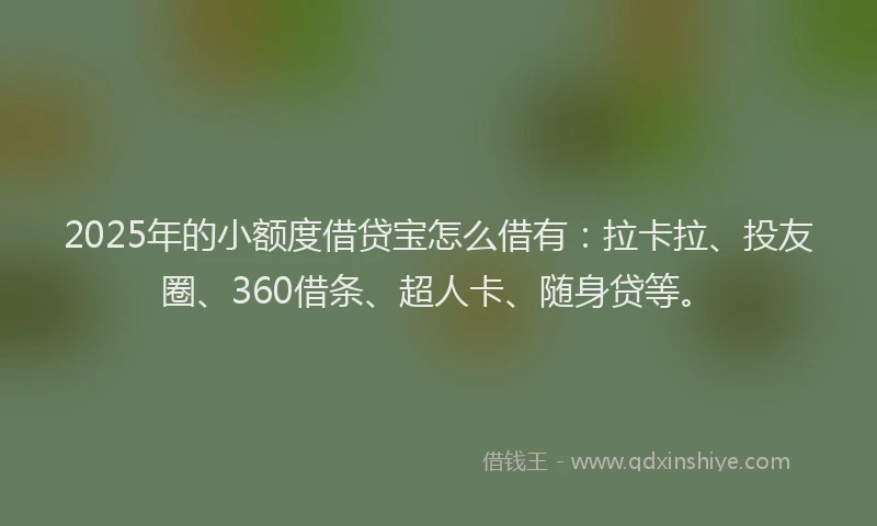 2025年的小额度借贷宝怎么借有：拉卡拉、投友圈、360借条、超人卡、随身贷等。