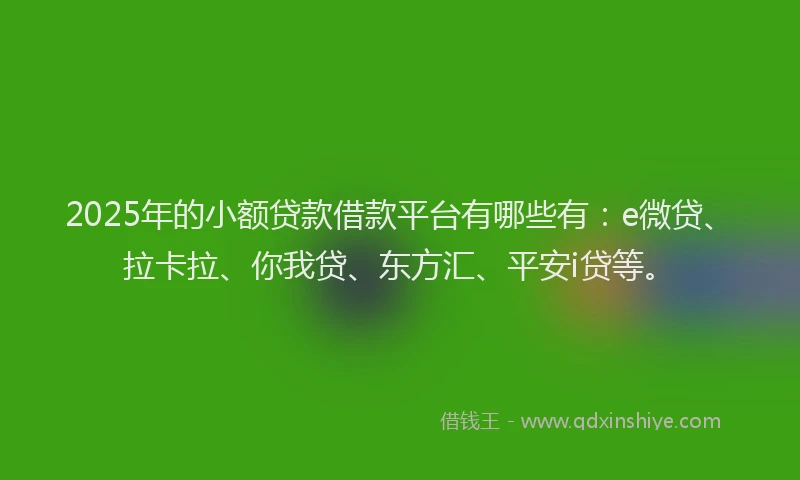 2025年的小额贷款借款平台有哪些有：e微贷、拉卡拉、你我贷、东方汇、平安i贷等。