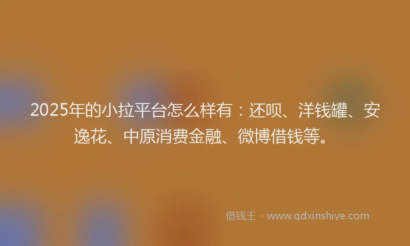 2025年的小拉平台怎么样有：还呗、洋钱罐、安逸花、中原消费金融、微博借钱等。