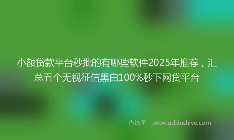 小额贷款平台秒批的有哪些软件2025年推荐，汇总五个无视征信黑白100%秒下网贷平台