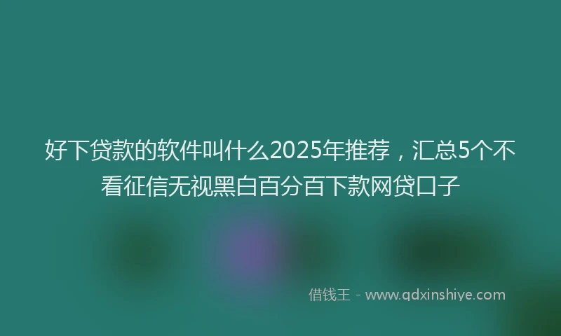 好下贷款的软件叫什么2025年推荐，汇总5个不看征信无视黑白百分百下款网贷口子