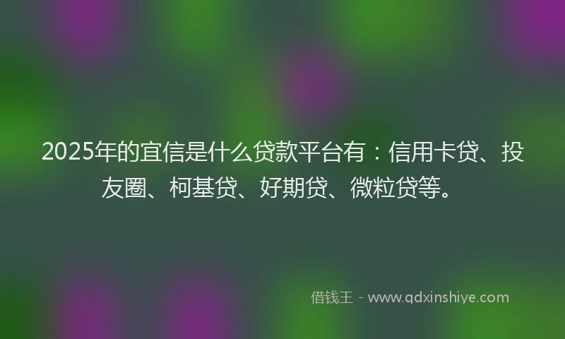 2025年的宜信是什么贷款平台有：信用卡贷、投友圈、柯基贷、好期贷、微粒贷等。