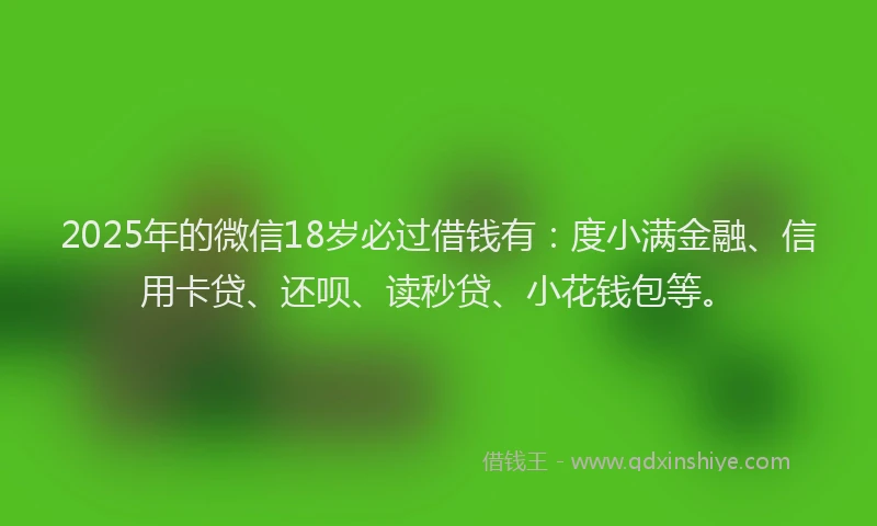 2025年的微信18岁必过借钱有：度小满金融、信用卡贷、还呗、读秒贷、小花钱包等。