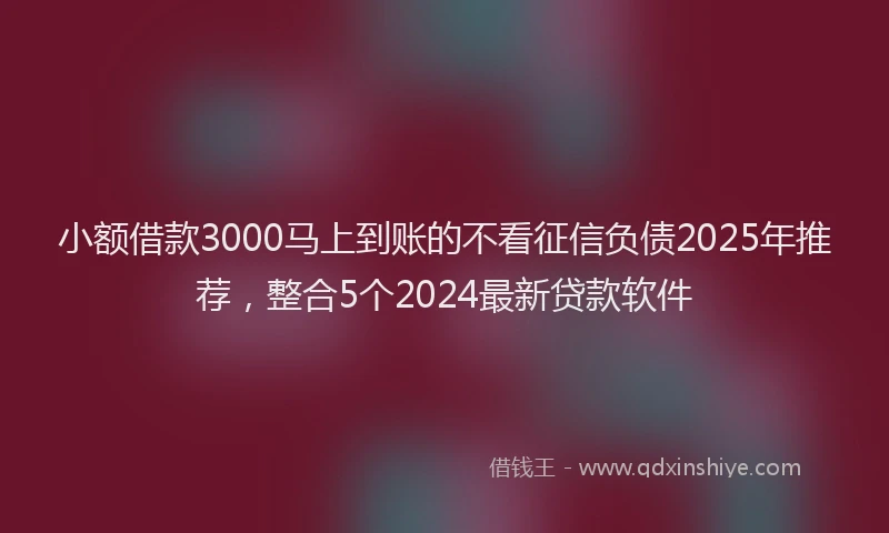 小额借款3000马上到账的不看征信负债2025年推荐，整合5个2024最新贷款软件