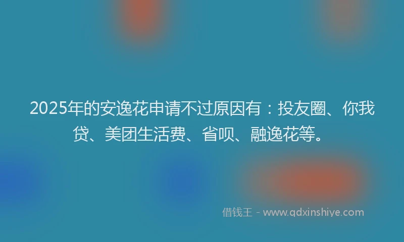 2025年的安逸花申请不过原因有：投友圈、你我贷、美团生活费、省呗、融逸花等。