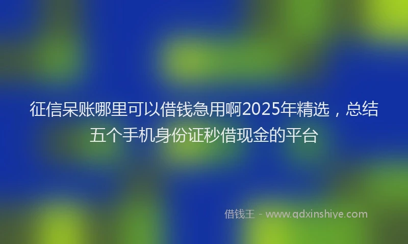 征信呆账哪里可以借钱急用啊2025年精选，总结五个手机身份证秒借现金的平台