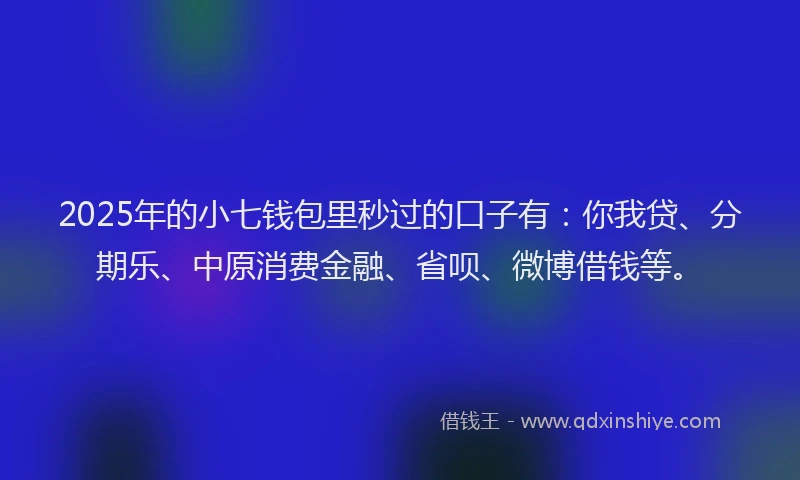 2025年的小七钱包里秒过的口子有：你我贷、分期乐、中原消费金融、省呗、微博借钱等。