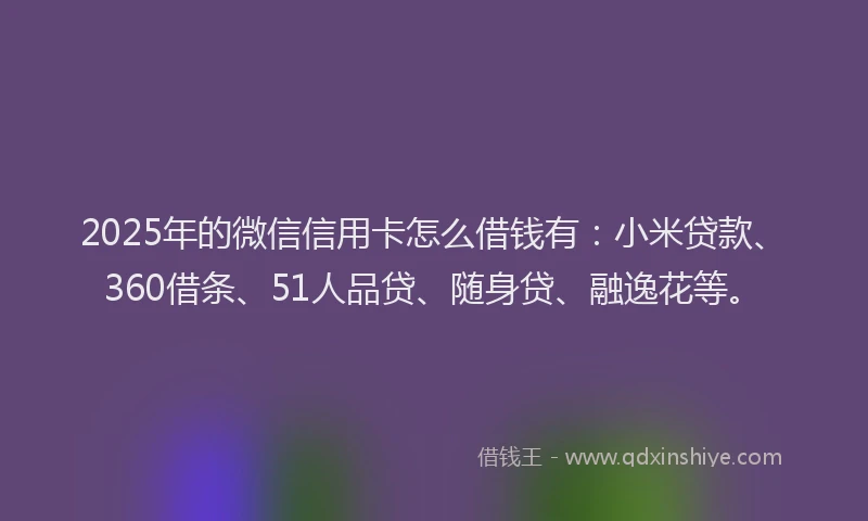 2025年的微信信用卡怎么借钱有：小米贷款、360借条、51人品贷、随身贷、融逸花等。