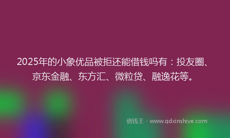 2025年的小象优品被拒还能借钱吗有：投友圈、京东金融、东方汇、微粒贷、融逸花等。