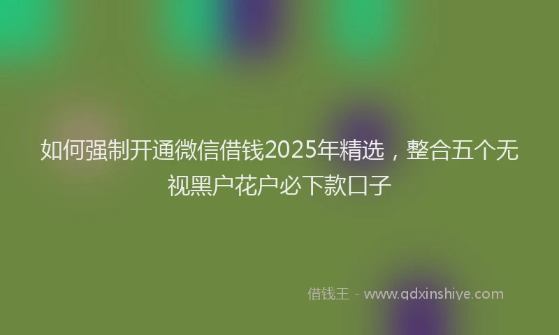 如何强制开通微信借钱2025年精选，整合五个无视黑户花户必下款口子