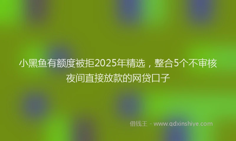 小黑鱼有额度被拒2025年精选，整合5个不审核夜间直接放款的网贷口子