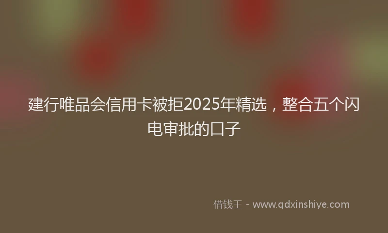 建行唯品会信用卡被拒2025年精选，整合五个闪电审批的口子