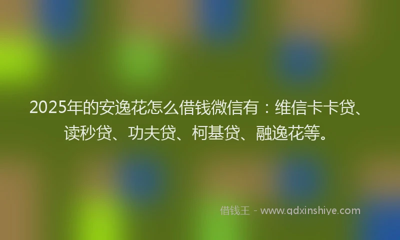2025年的安逸花怎么借钱微信有：维信卡卡贷、读秒贷、功夫贷、柯基贷、融逸花等。