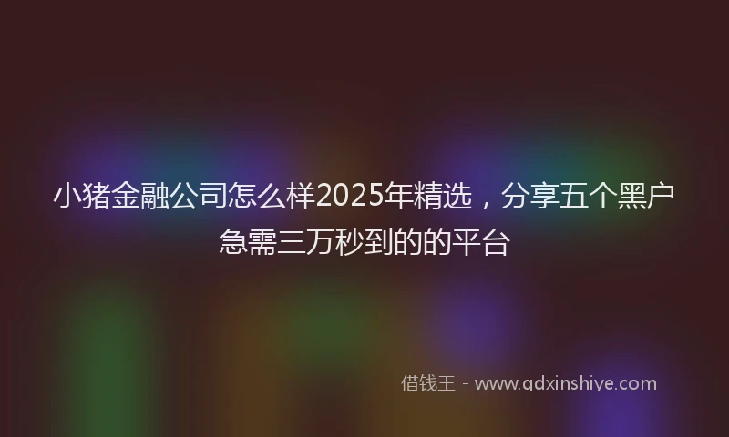 小猪金融公司怎么样2025年精选，分享五个黑户急需三万秒到的的平台