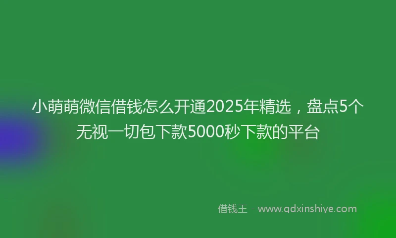 小萌萌微信借钱怎么开通2025年精选，盘点5个无视一切包下款5000秒下款的平台