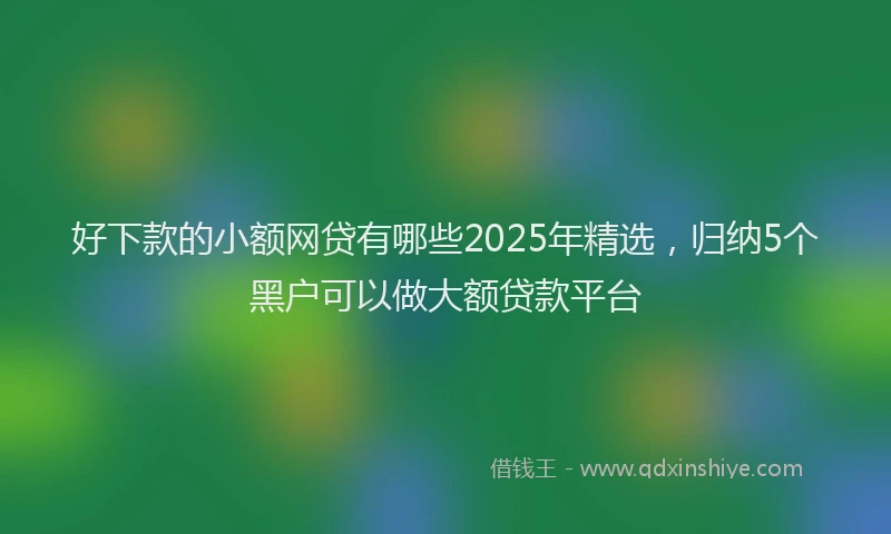 好下款的小额网贷有哪些2025年精选，归纳5个黑户可以做大额贷款平台