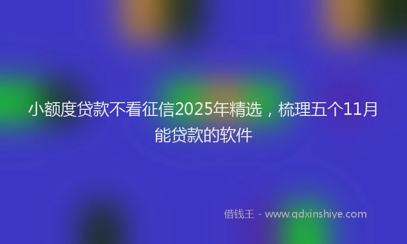 小额度贷款不看征信2025年精选，梳理五个11月能贷款的软件