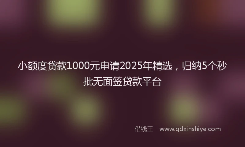 小额度贷款1000元申请2025年精选，归纳5个秒批无面签贷款平台