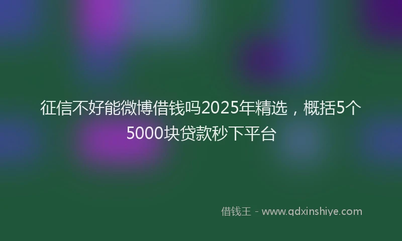 征信不好能微博借钱吗2025年精选，概括5个5000块贷款秒下平台