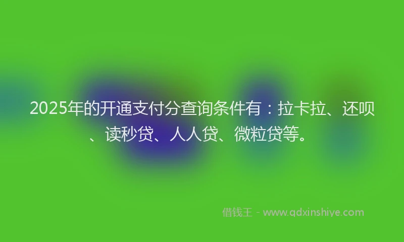 2025年的开通支付分查询条件有：拉卡拉、还呗、读秒贷、人人贷、微粒贷等。