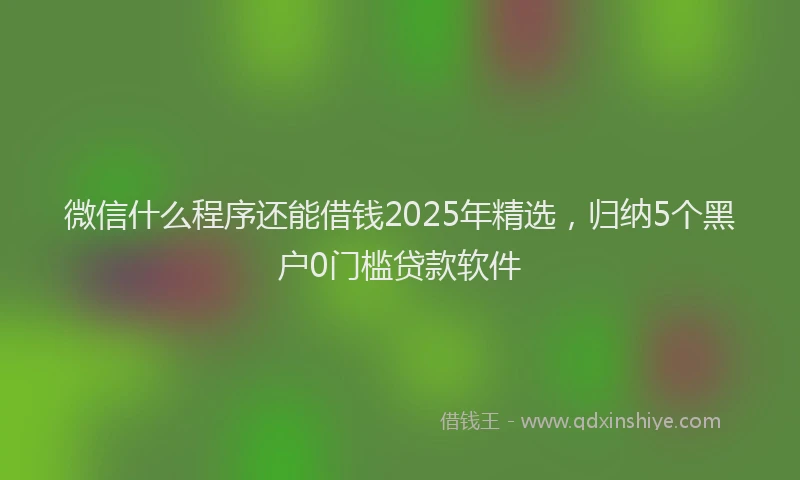 微信什么程序还能借钱2025年精选，归纳5个黑户0门槛贷款软件