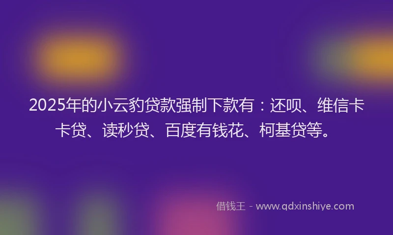 2025年的小云豹贷款强制下款有：还呗、维信卡卡贷、读秒贷、百度有钱花、柯基贷等。