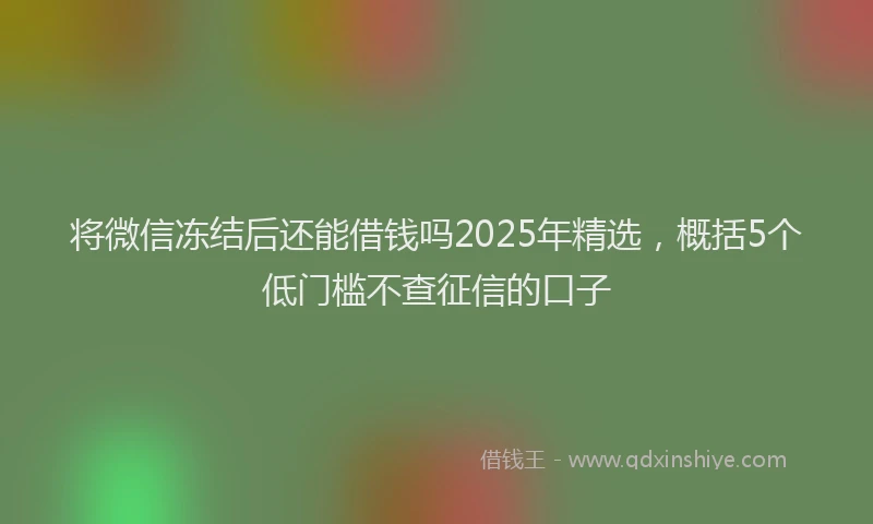将微信冻结后还能借钱吗2025年精选，概括5个低门槛不查征信的口子