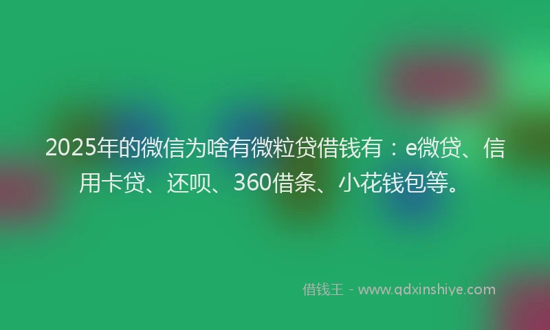 2025年的微信为啥有微粒贷借钱有：e微贷、信用卡贷、还呗、360借条、小花钱包等。