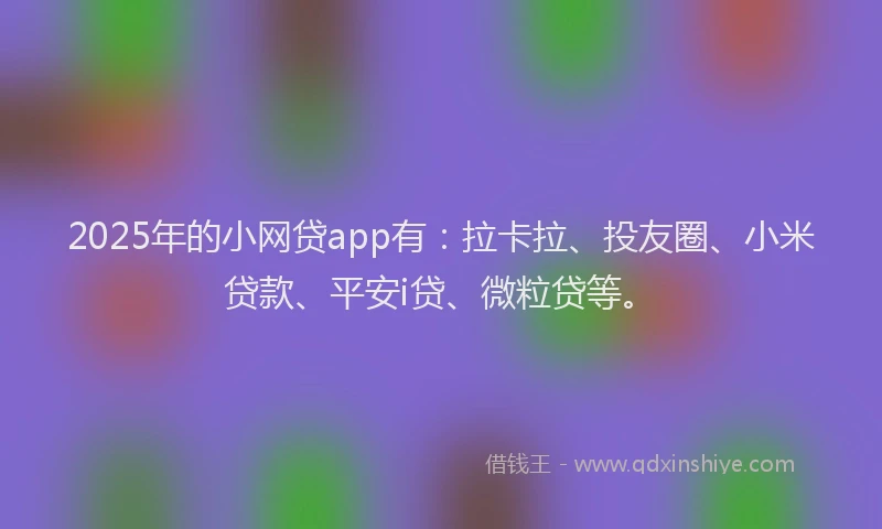 2025年的小网贷app有：拉卡拉、投友圈、小米贷款、平安i贷、微粒贷等。
