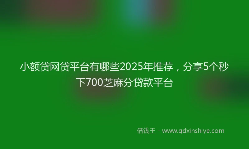 小额贷网贷平台有哪些2025年推荐，分享5个秒下700芝麻分贷款平台