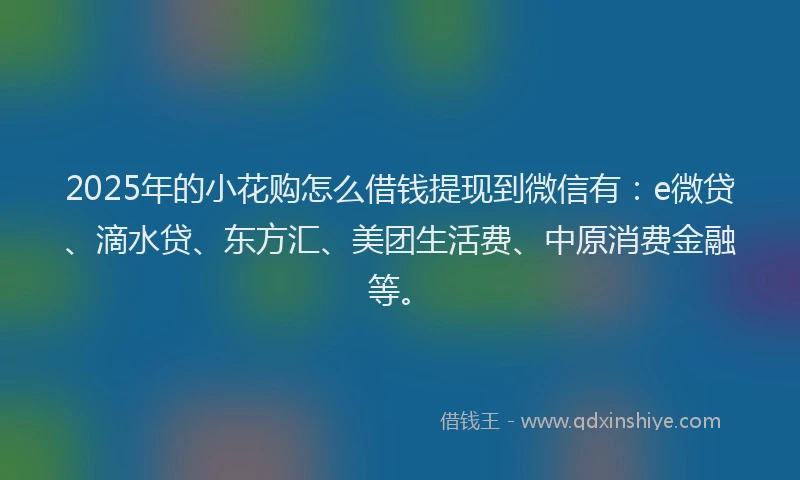 2025年的小花购怎么借钱提现到微信有：e微贷、滴水贷、东方汇、美团生活费、中原消费金融等。