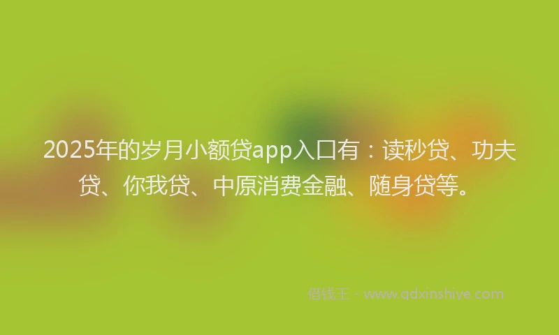 2025年的岁月小额贷app入口有：读秒贷、功夫贷、你我贷、中原消费金融、随身贷等。