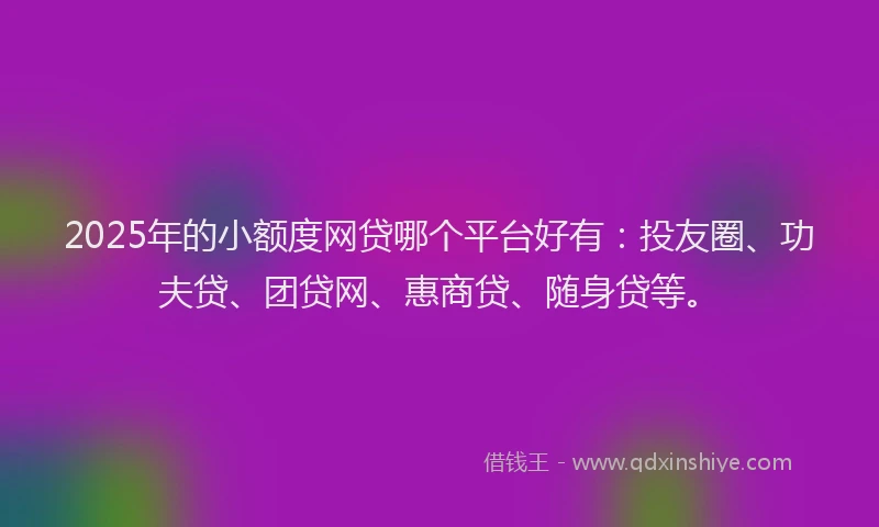 2025年的小额度网贷哪个平台好有：投友圈、功夫贷、团贷网、惠商贷、随身贷等。
