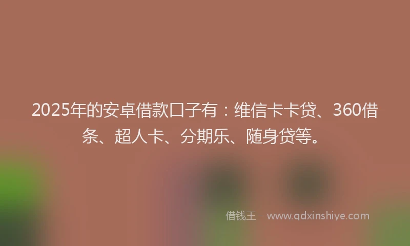 2025年的安卓借款口子有：维信卡卡贷、360借条、超人卡、分期乐、随身贷等。