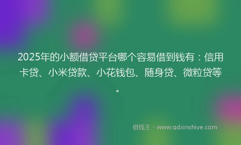 2025年的小额借贷平台哪个容易借到钱有：信用卡贷、小米贷款、小花钱包、随身贷、微粒贷等。