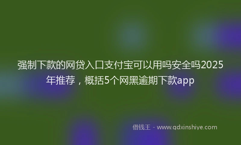 强制下款的网贷入口支付宝可以用吗安全吗2025年推荐，概括5个网黑逾期下款app