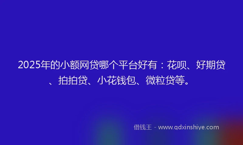 2025年的小额网贷哪个平台好有：花呗、好期贷、拍拍贷、小花钱包、微粒贷等。