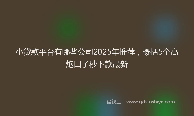 小贷款平台有哪些公司2025年推荐，概括5个高炮口子秒下款最新
