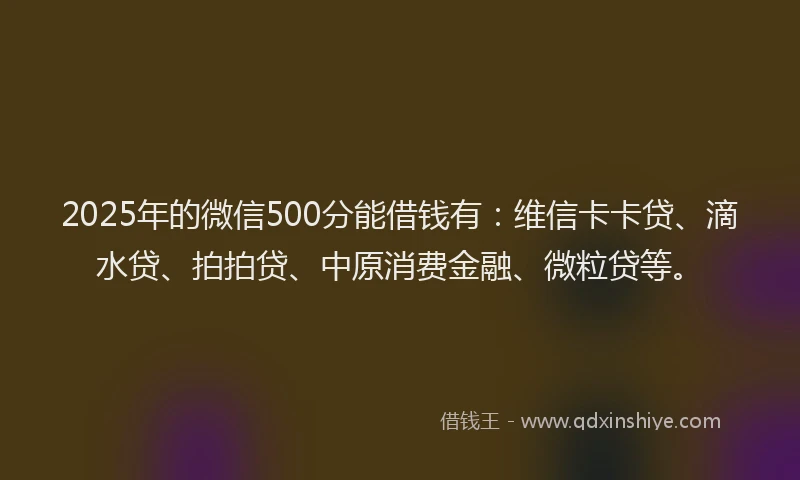 2025年的微信500分能借钱有：维信卡卡贷、滴水贷、拍拍贷、中原消费金融、微粒贷等。