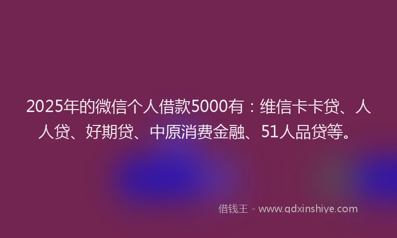 2025年的微信个人借款5000有：维信卡卡贷、人人贷、好期贷、中原消费金融、51人品贷等。