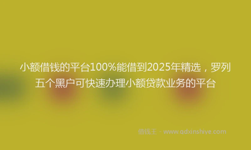 小额借钱的平台100%能借到2025年精选，罗列五个黑户可快速办理小额贷款业务的平台