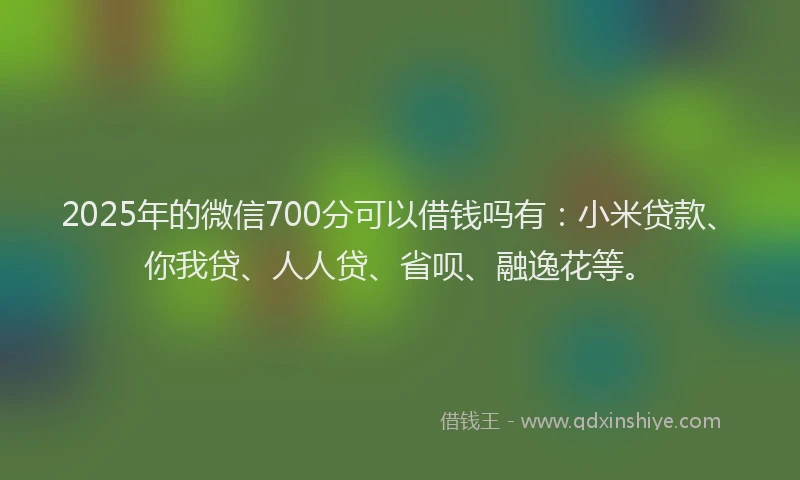 2025年的微信700分可以借钱吗有：小米贷款、你我贷、人人贷、省呗、融逸花等。