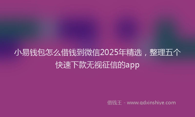 小易钱包怎么借钱到微信2025年精选，整理五个快速下款无视征信的app